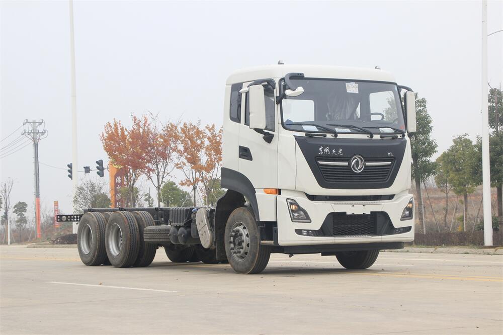 東風天龍 后雙橋 康明斯290   內(nèi)飾照片圖