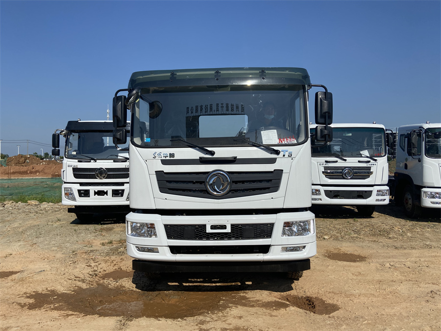 東風T5（后雙橋，玉柴260）國六 內(nèi)飾照片圖